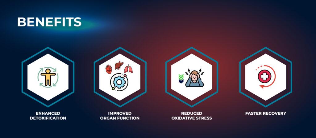 Benefits - Liver and Organ Support