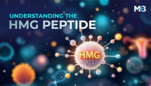 HMG Peptide