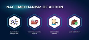 NAC - Mechanism of Action