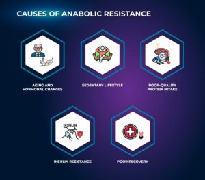 Causes of Anabolic Resistance